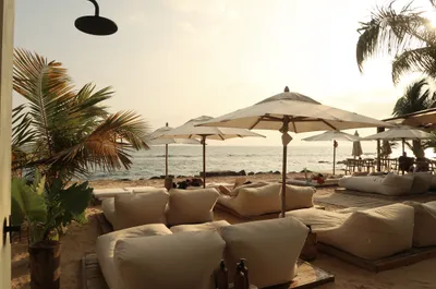 Beach club with parasols and lounge beds at sunset