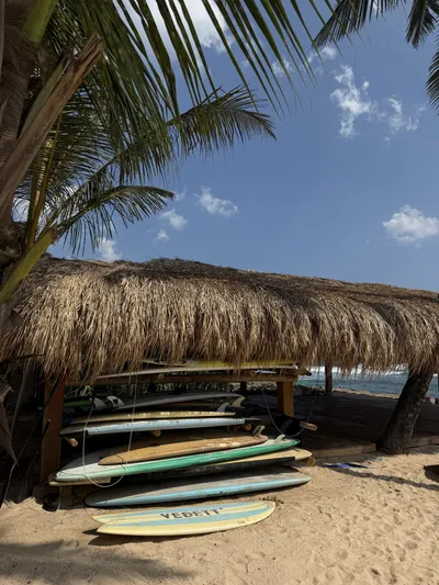 Surfboards under a thatched beach hut